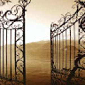 Meet your Posher, Savannah